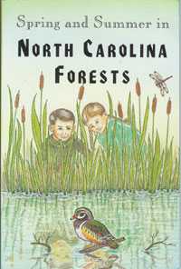 Spring & Summer in North Carolina Forests