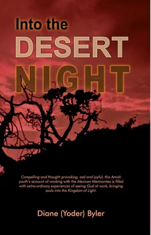 Into the Desert Night