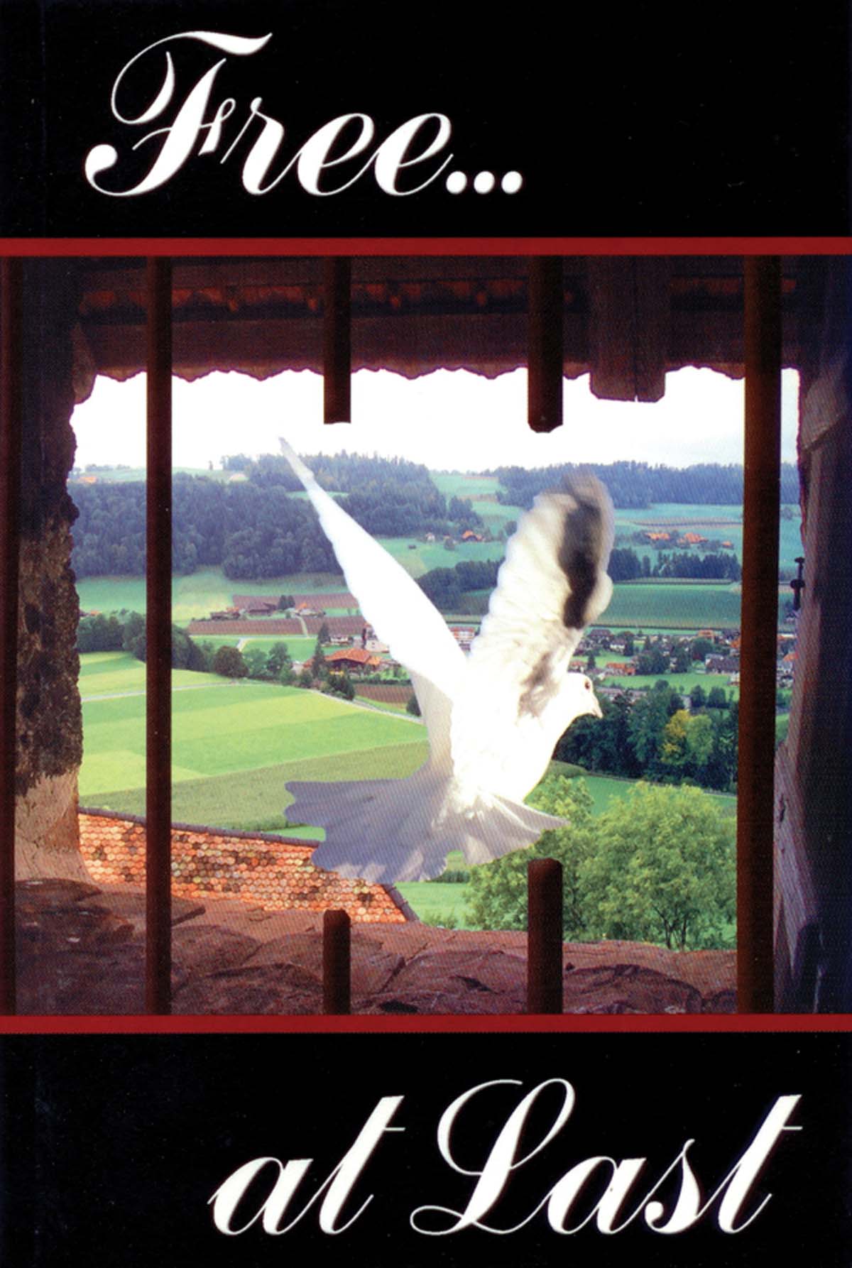 104-0399 Product Image 1