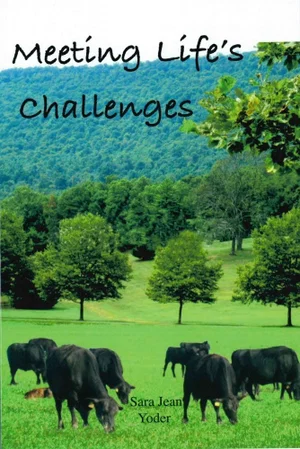 Meeting Life's Challenges