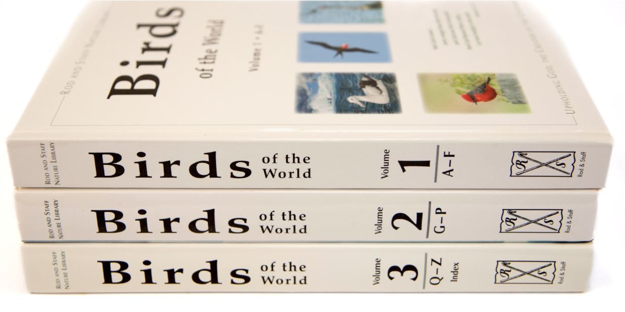 104-0766 Product Image 2