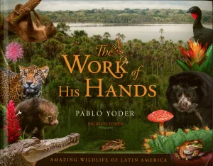 The Work of His Hands