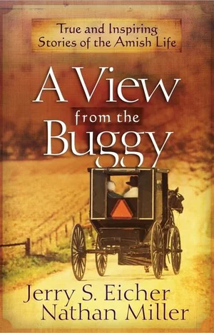 A View From the Buggy