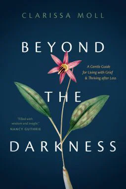 Beyond the Darkness: A Gentle Guide for Living with Grief