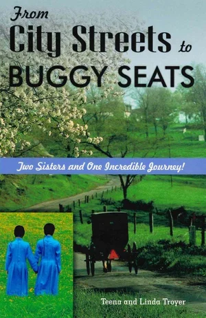 From City Streets to Buggy Seats - No Longer Available