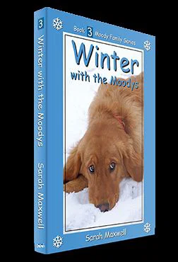 Winter with the Moodys -Book 3 Moody Family Series