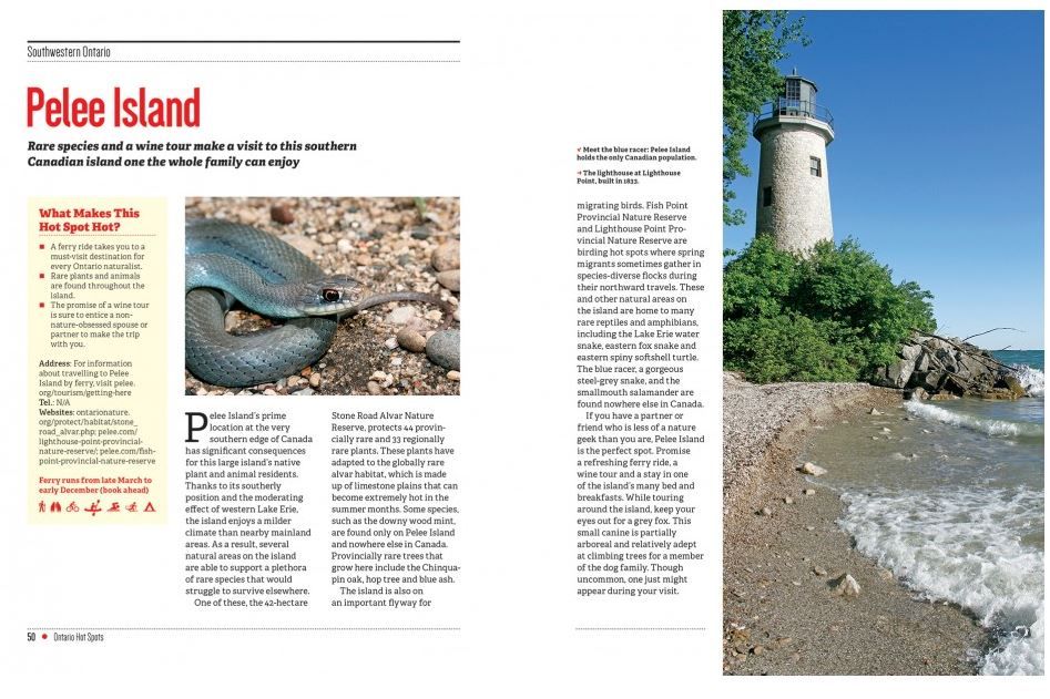 107-0033 Product Image 3