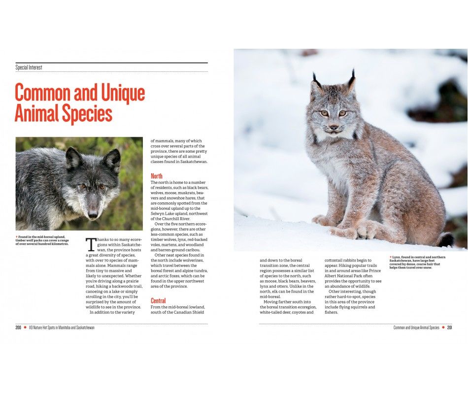 107-0039 Product Image 12