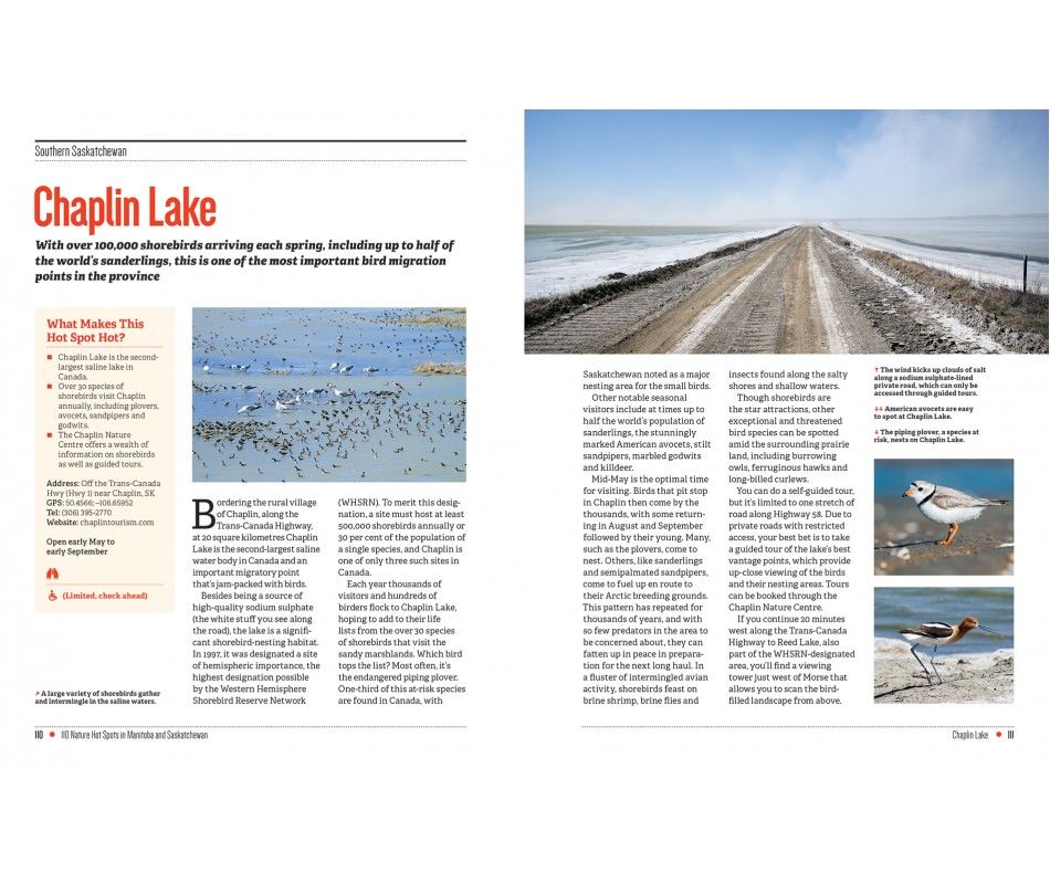 107-0039 Product Image 4