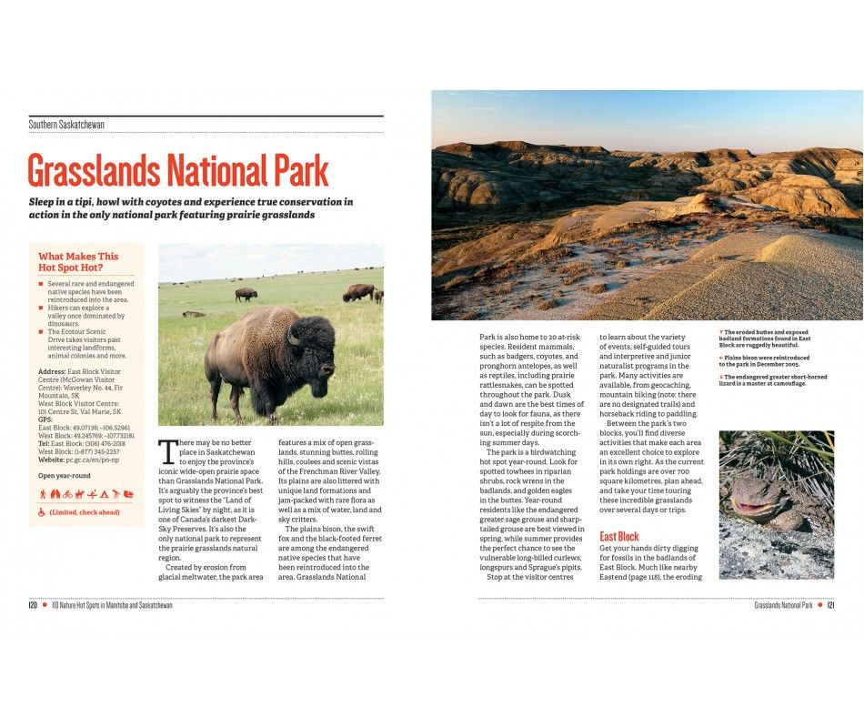 107-0039 Product Image 5