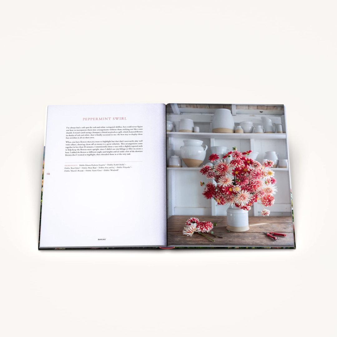 107-0046 Product Image 10