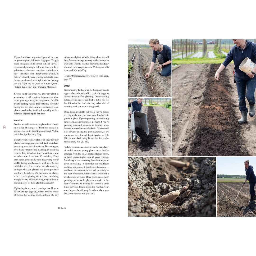 107-0046 Product Image 7