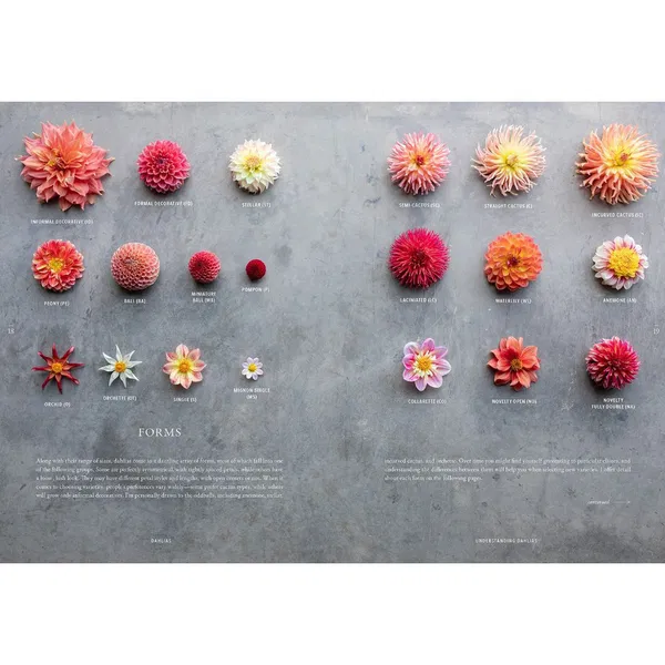 107-0046 Product Image 9