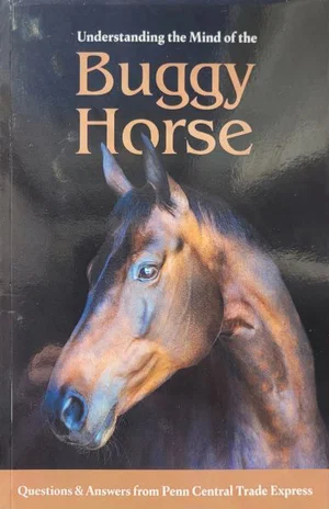Understanding the Mind of the Buggy Horse