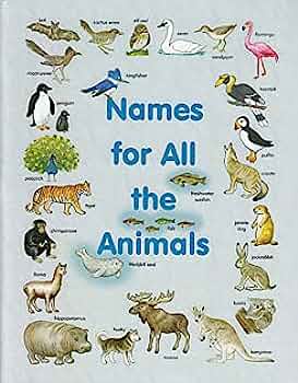 Names for All the Animals