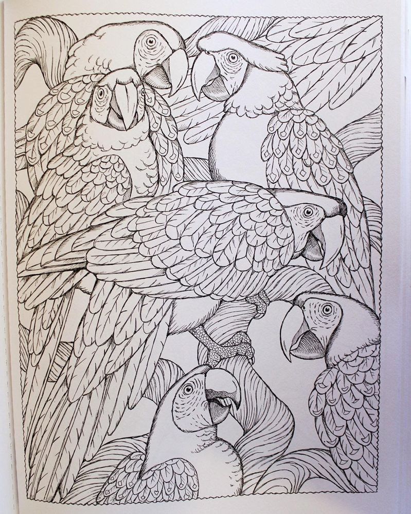 110-0072 Product Image 1