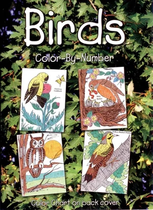 - Colour by Number Birds