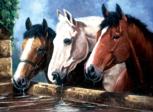 Paint by Number Three of a Kind