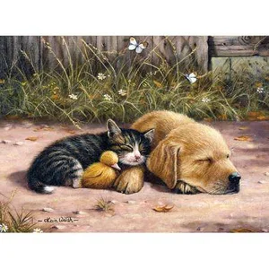 Paint by Number Sleepy Day - Junior Large