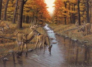 Paint by Number | Adult Symond's Creek