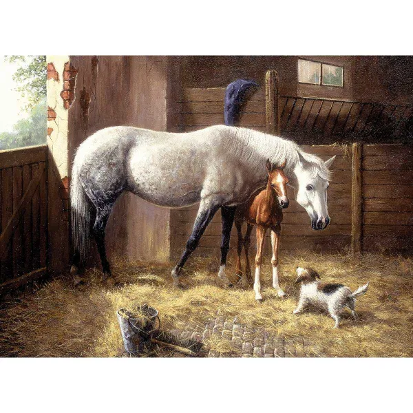 110-0271 Product Image 1