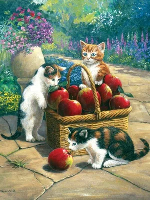 Paint by Number | Bumper Crop