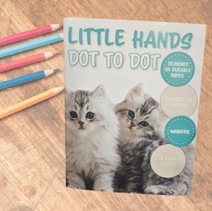 Little Hands Dot to Dot Book