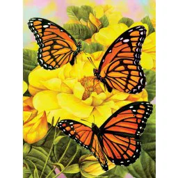110-0342 Product Image 1