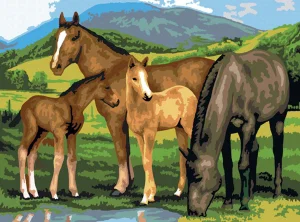 Paint by Number Horse & Foals - Junior Large