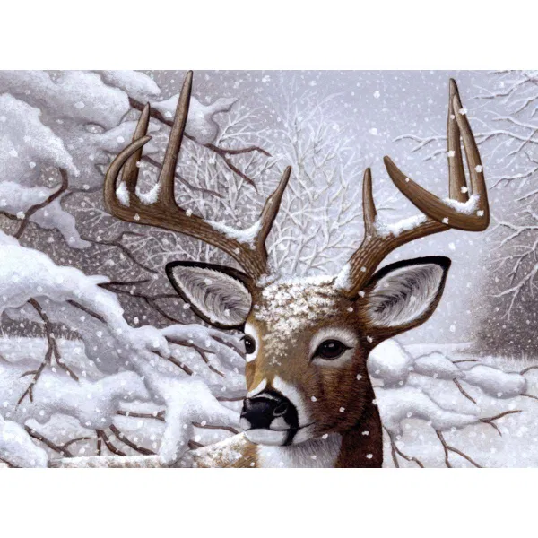 110-0357 Product Image 1