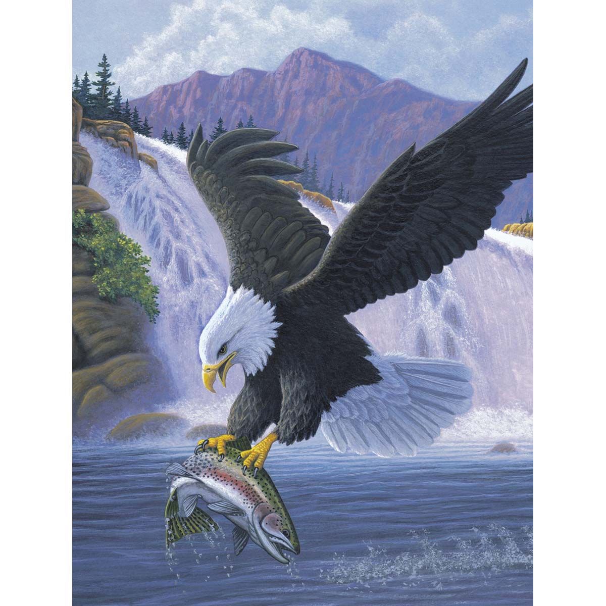 110-0360 Product Image 1