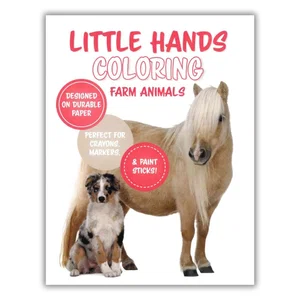 Little Hands Colouring Farm Animals