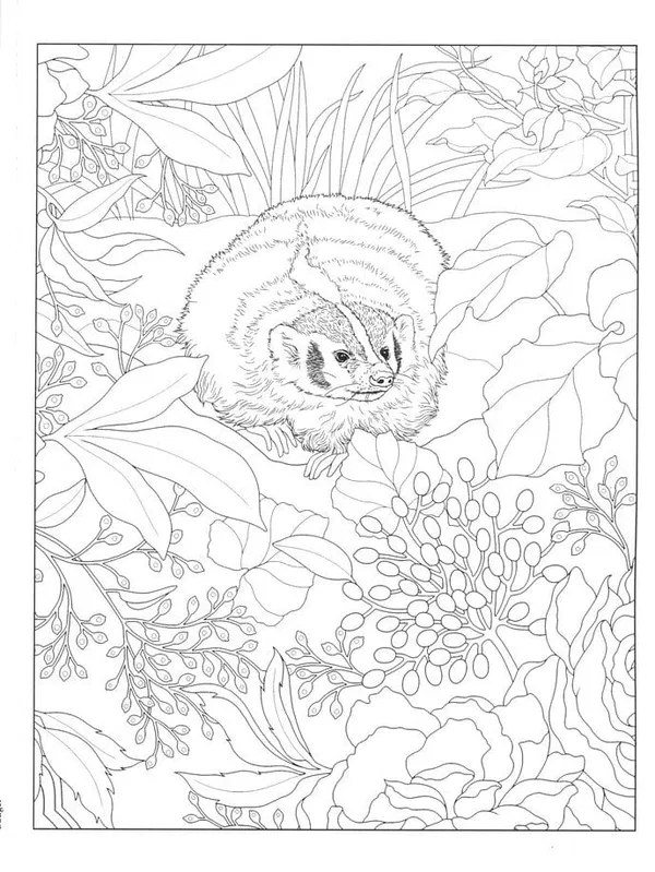 110-0460 Product Image 3