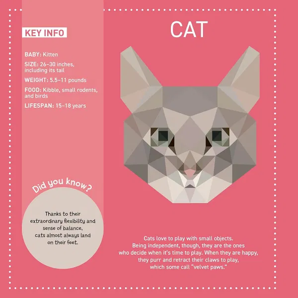 110-0527 Product Image 7