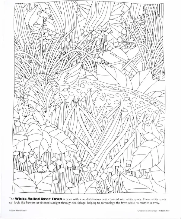 110-0579 Product Image 3