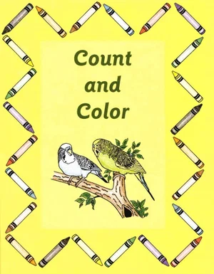 Count and Colour Activity Book