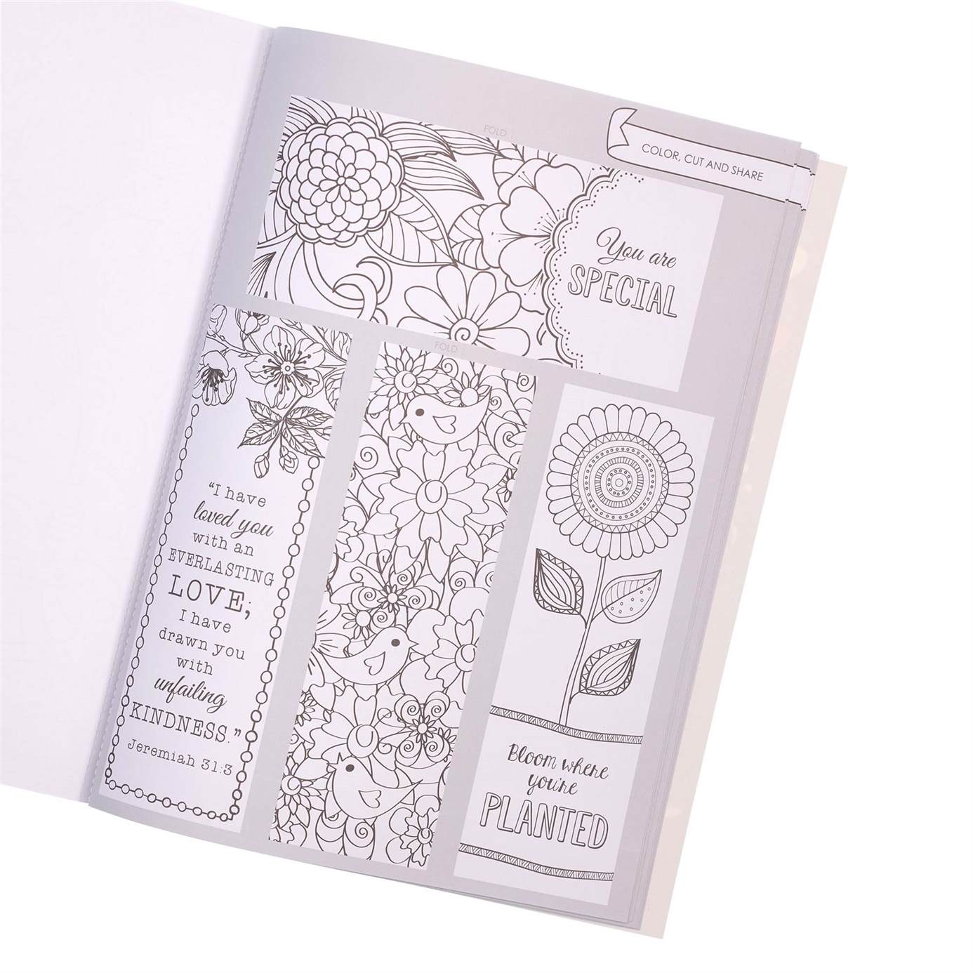 110-3603 Product Image 7