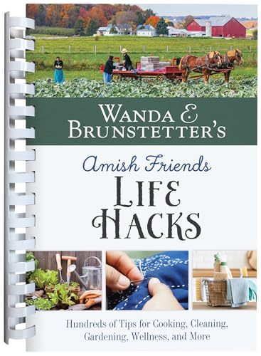 Image of Wanda E. Brunstetter’s Amish Friends Life Hacks: Hundreds of Tips