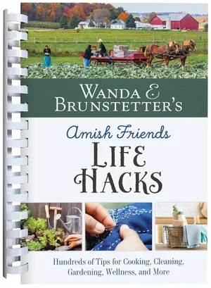 Wanda E. Brunstetter's Amish Friends Life Hacks: Hundreds of Tips