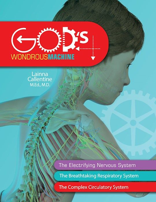 116-0034 Product Image 1