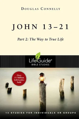 John 13-21, Part 2: The Way to True Life - Lifeguide Studies