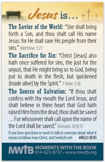 116-0252 Product Image 2