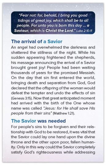 116-0256 Product Image 2