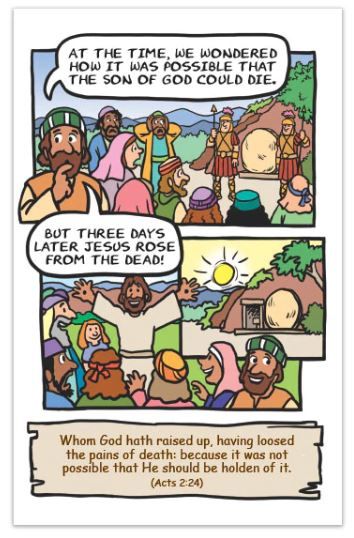 116-0266 Product Image 4