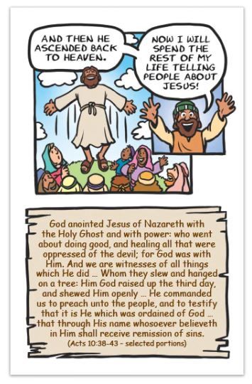 116-0266 Product Image 5