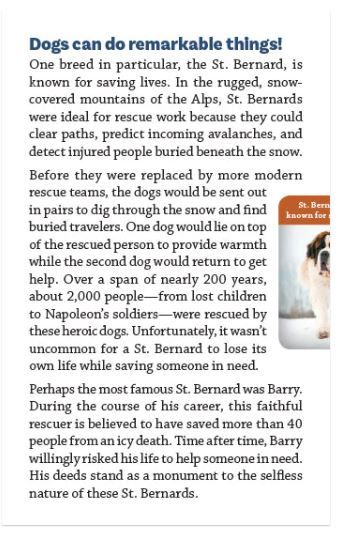 Product 116-0280 - View 2 116-0280 Product Image 2