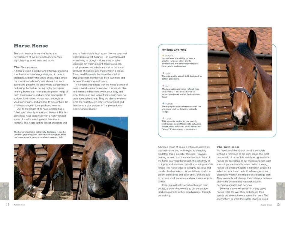 Product 116-0435 - View 3 116-0435 Product Image 3