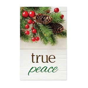 Tract: True Peace - 100 Pk NKJV