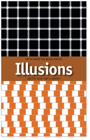 Illusions - Packet of 100 / NIV / No Imprinting