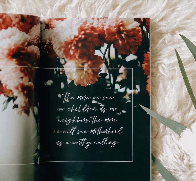 117-0019 Product Image 4